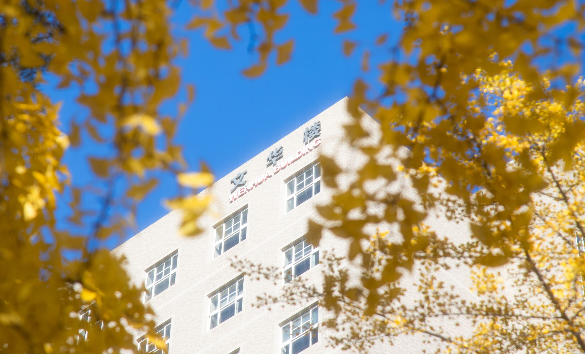 国家社科基金教育学2025年重大项目 “学校铸牢中华民族共同体意识教育研究” 开题论证会在校举办