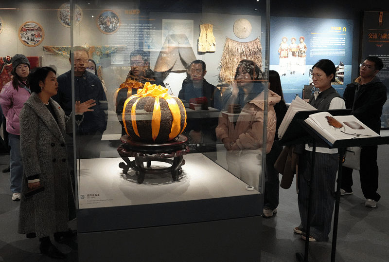 中国红十字会总会来我校参观交流