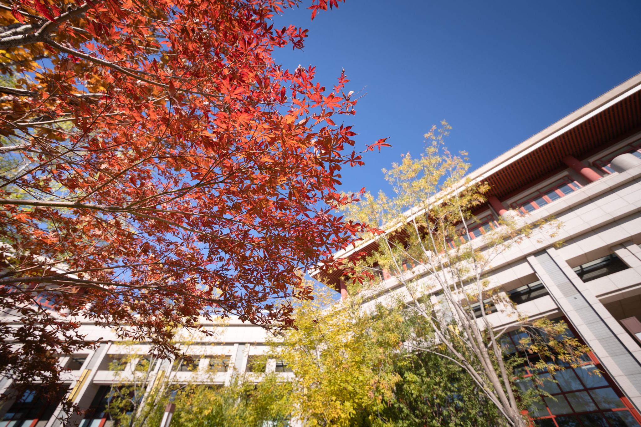 学校举办第三届 “‘一国两制’与港澳台治理”学术论坛