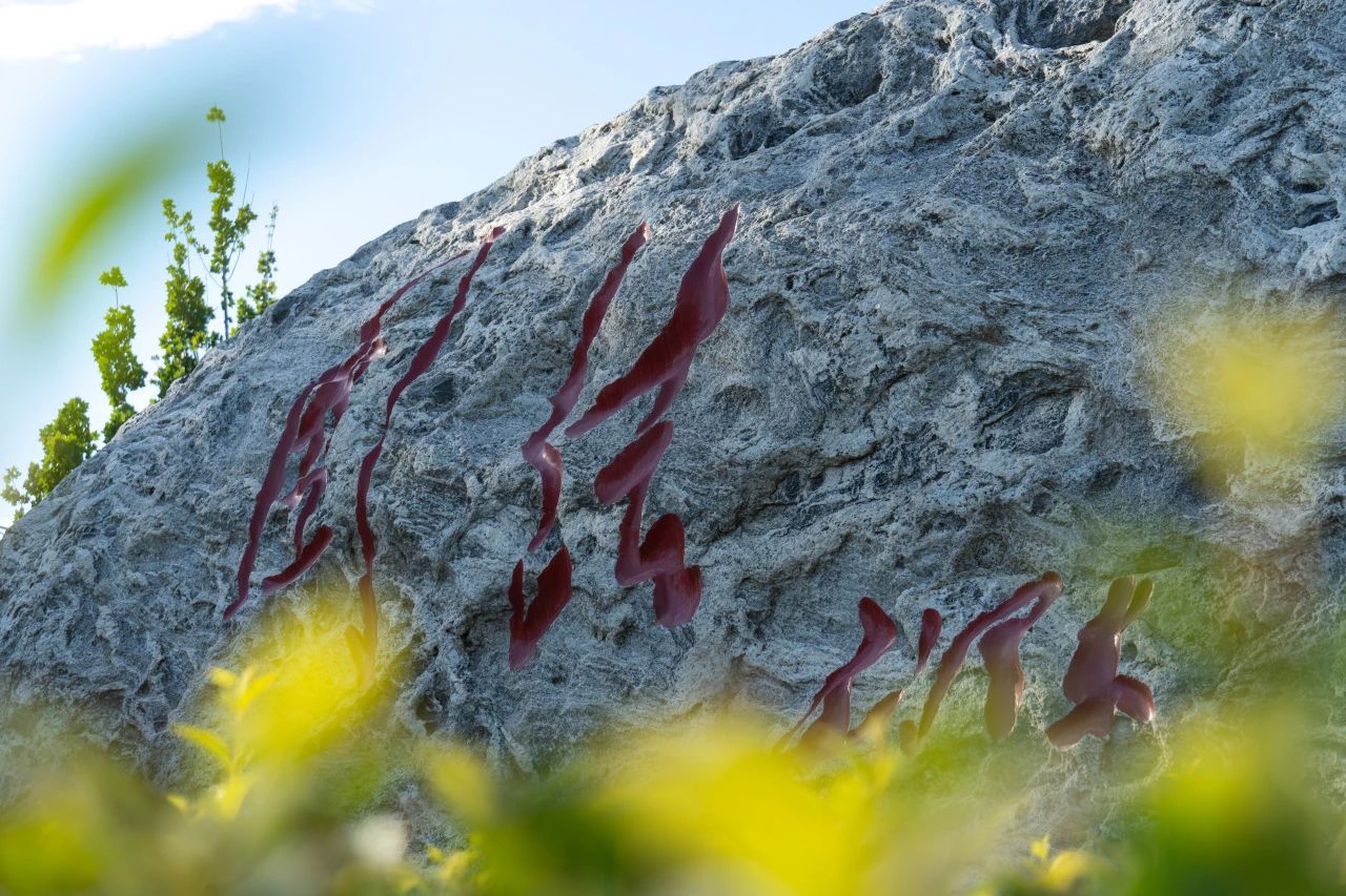 我校教育基金会在社会组织评估中再次荣获4A等级