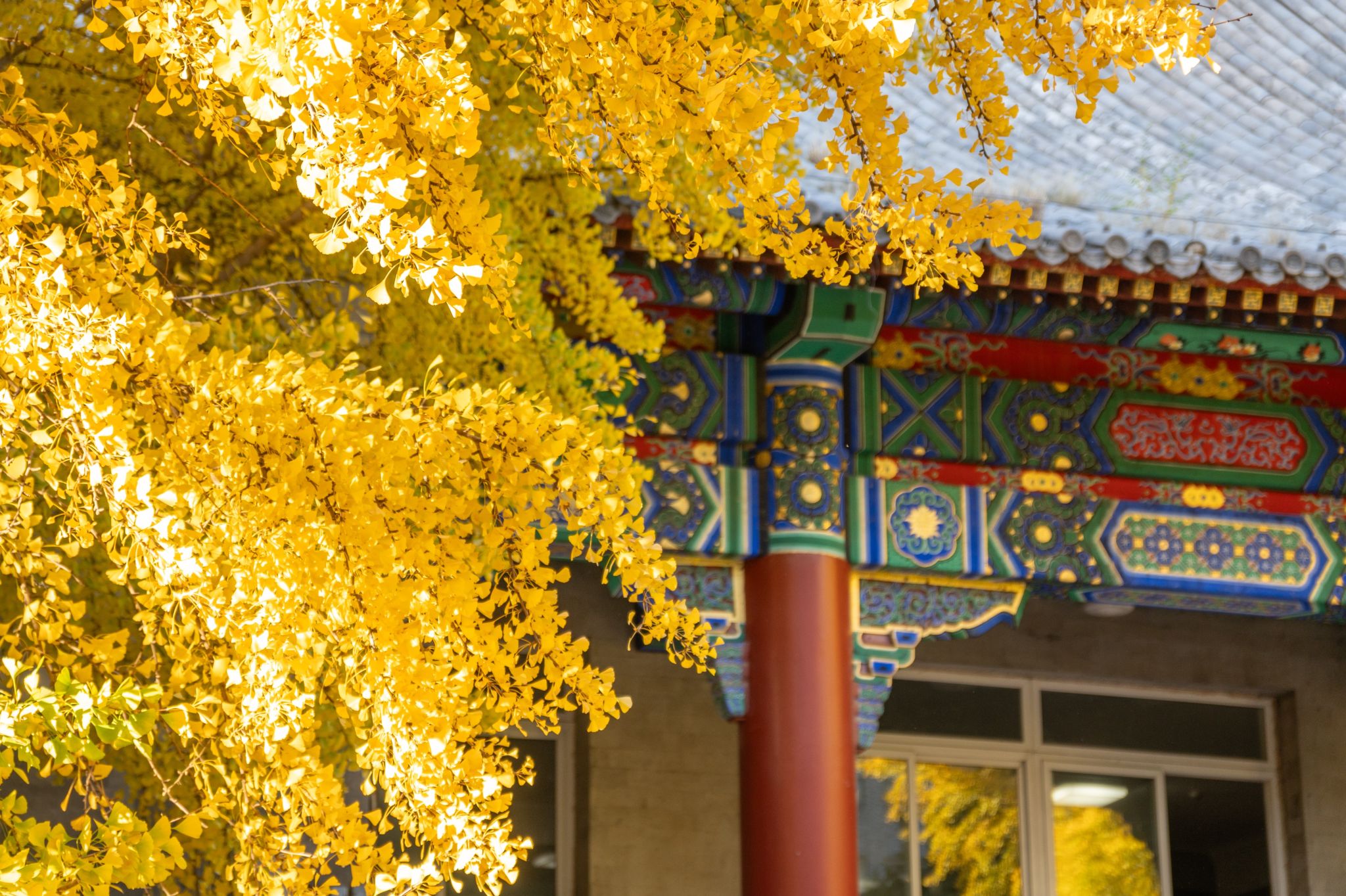 四川民族学院党委副书记詹先友一行来我校访问