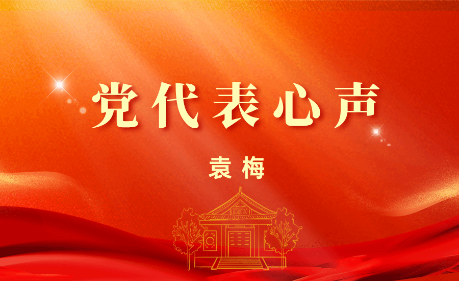 【党代表心声】袁梅：探索“互联网+教育”赋能模式，培养“下得去、留得住、教得好”的优秀教师