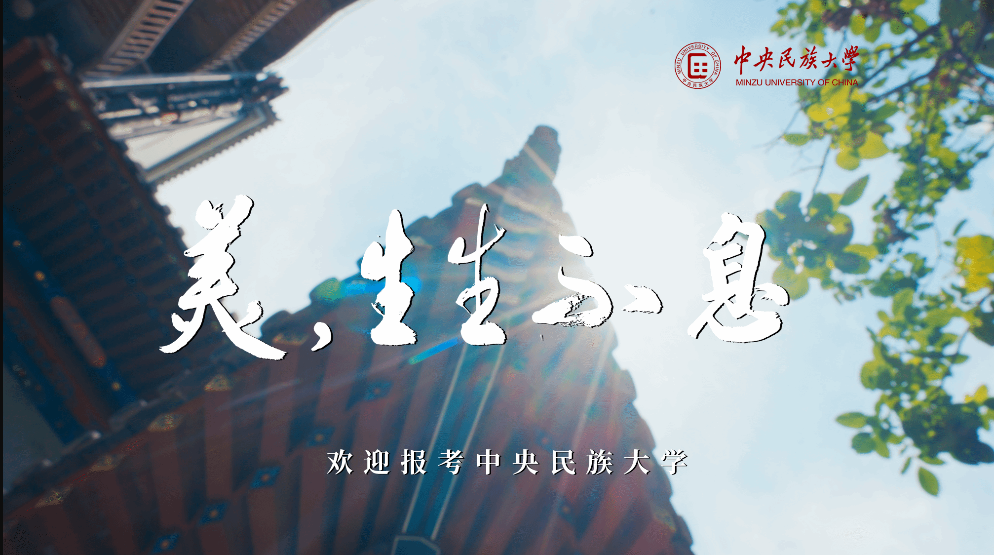 美，生生不息丨ag真人试玩招生宣传片重磅发布！