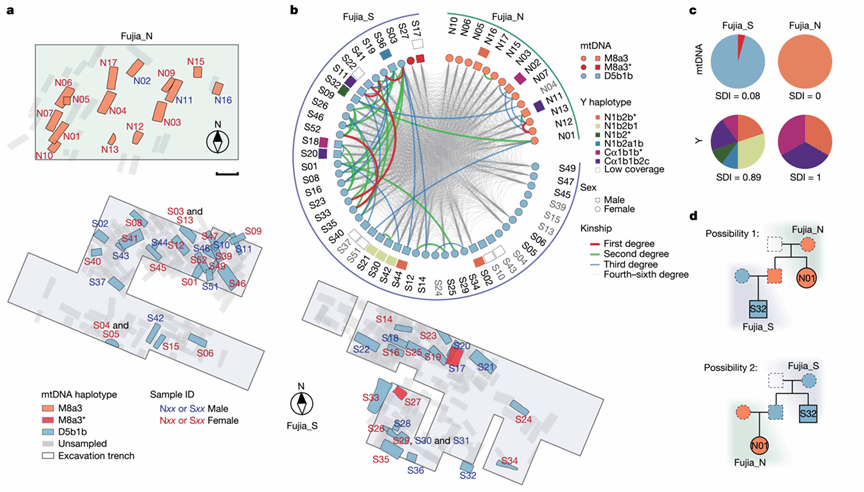 重大成果！Nature发表！