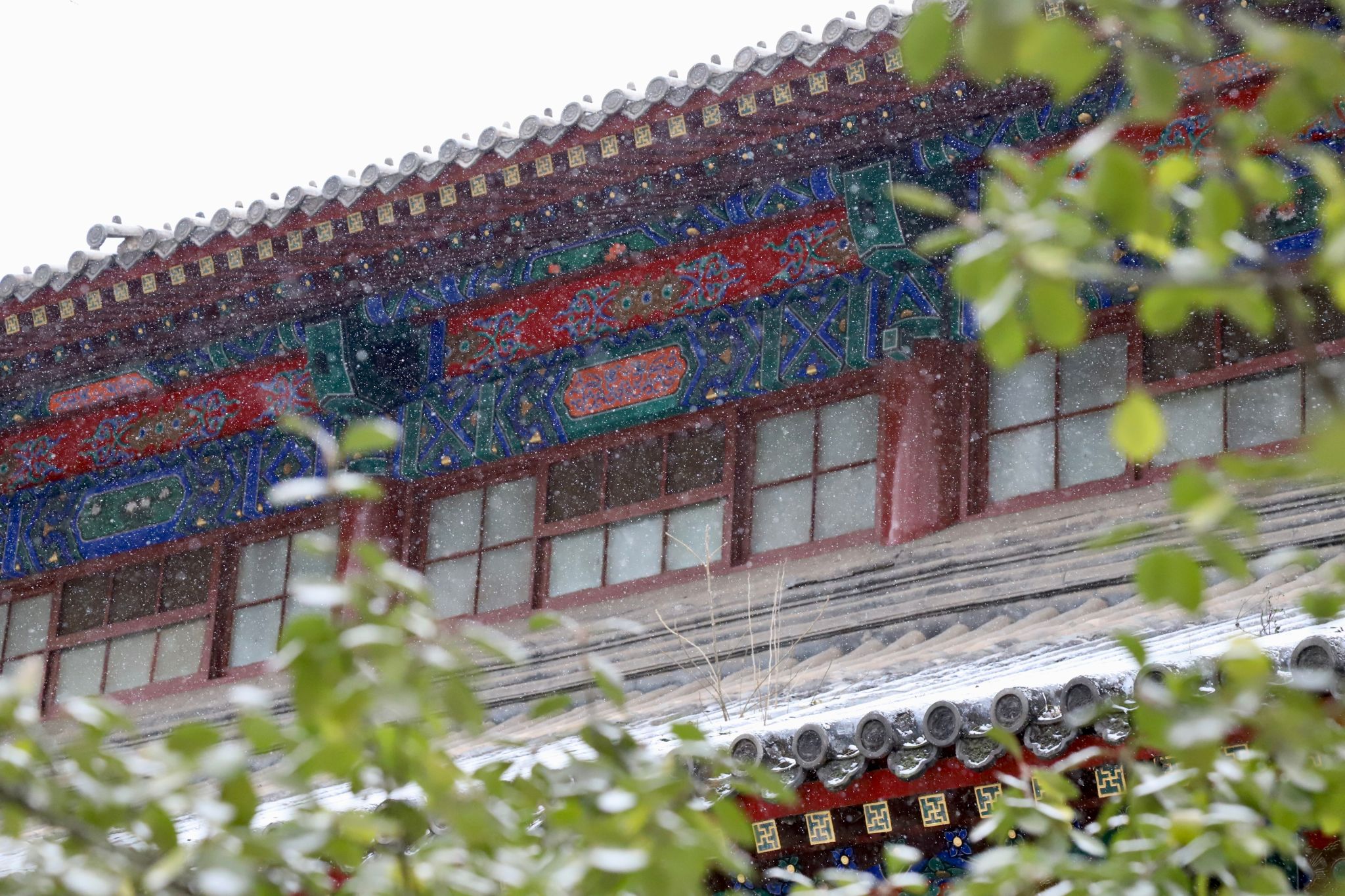 民大校园的初雪瞬间