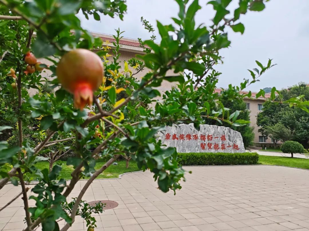 百名青年学者齐聚百望山，为建设中华民族共同体理论体系“集智”