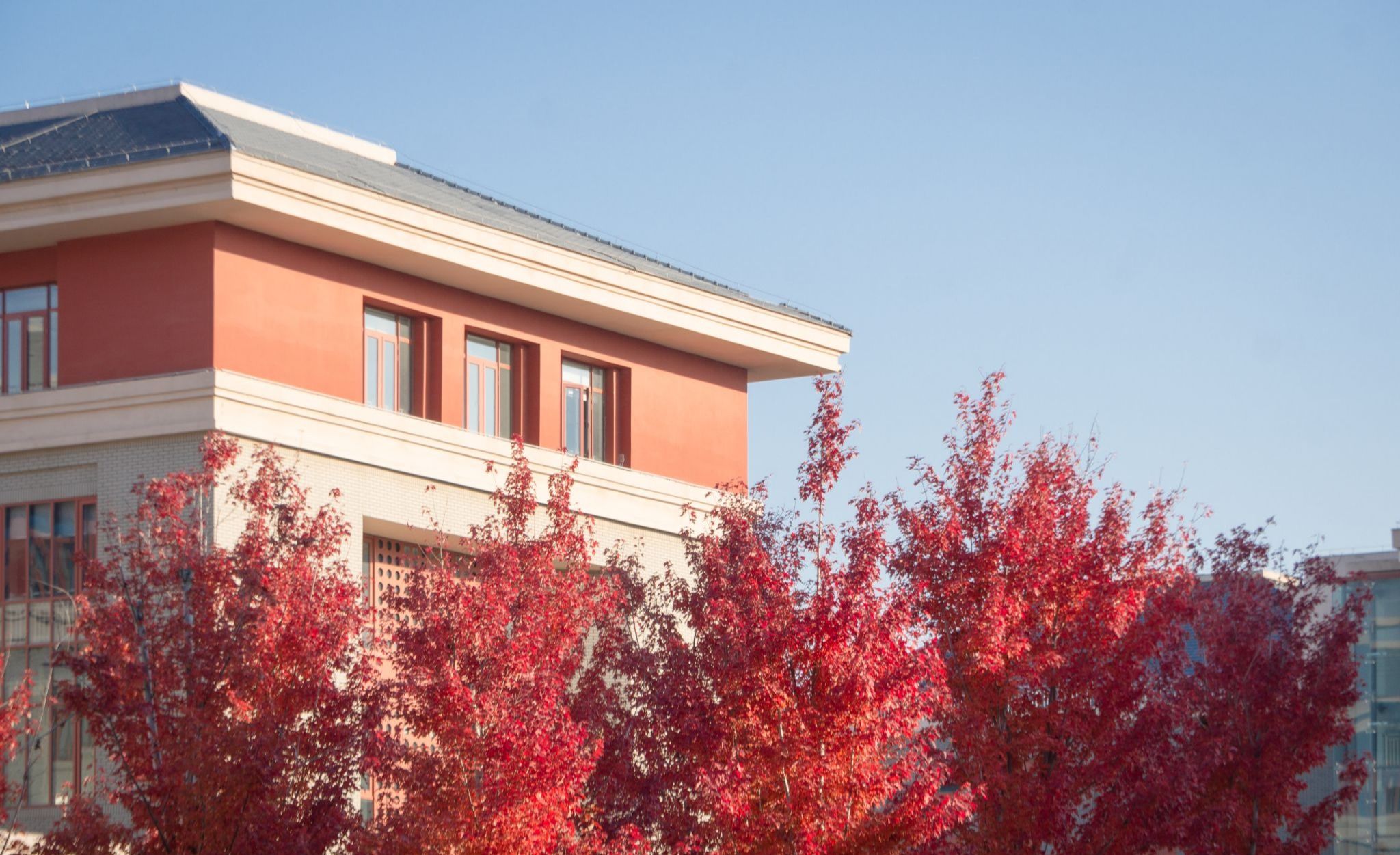 第十四届青年法史论坛暨“民族团结与国家统一的法律史研究”学术研讨会在ag真人试玩召开