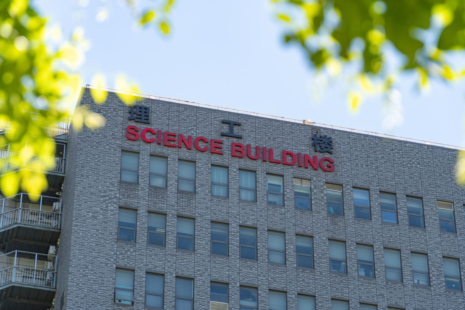 药学院阿里穆斯教授团队获2项中国民族医药协会科学技术奖一等奖
