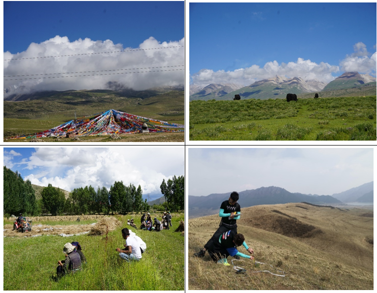 生命与环境科学学院师生深入青藏高原开展科学考察工作