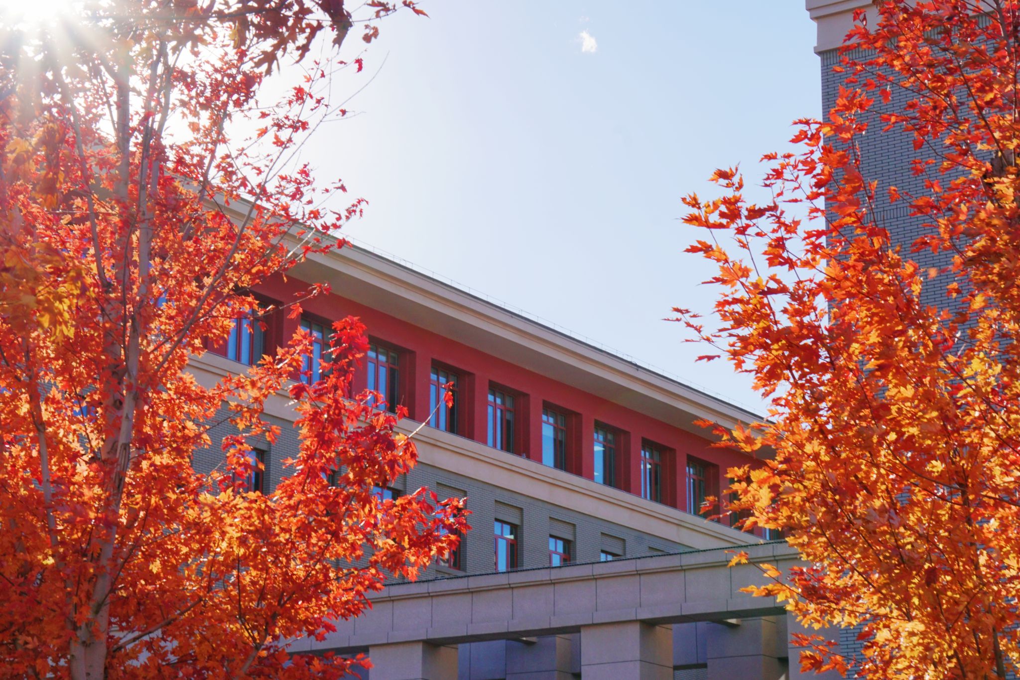 ag真人试玩“朴杰奖学金”十周年纪念暨2025年颁奖仪式在校举办