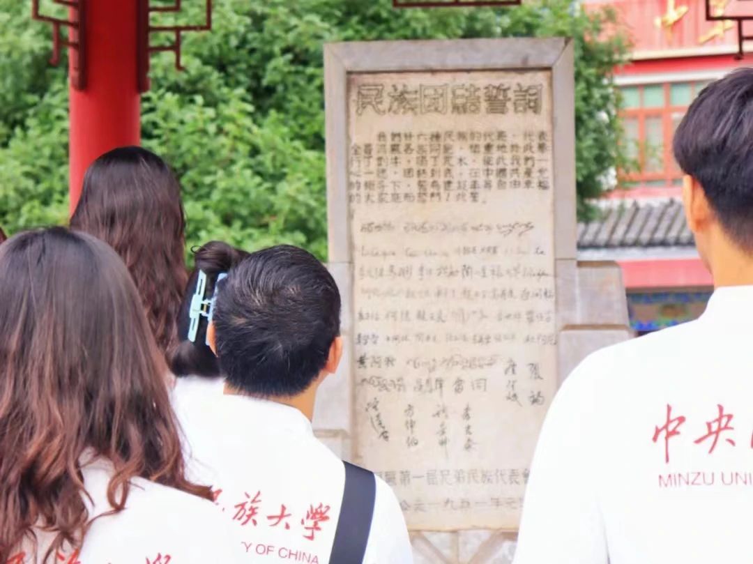 民族团结进步之花绽放于彩云之南 | 民大学子在行动！