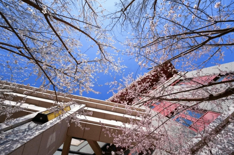 《光明日报》:当经济学遇上人工智能——一个新专业诞生背后的故事