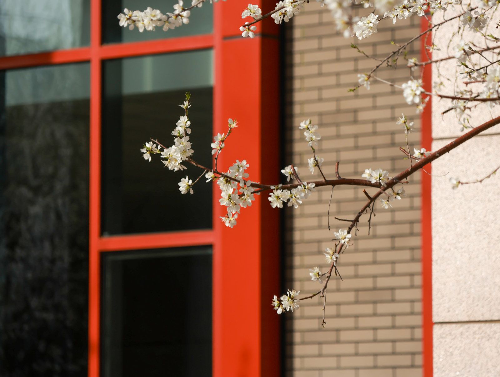 我校11项成果荣获北京市高等教育教学成果奖