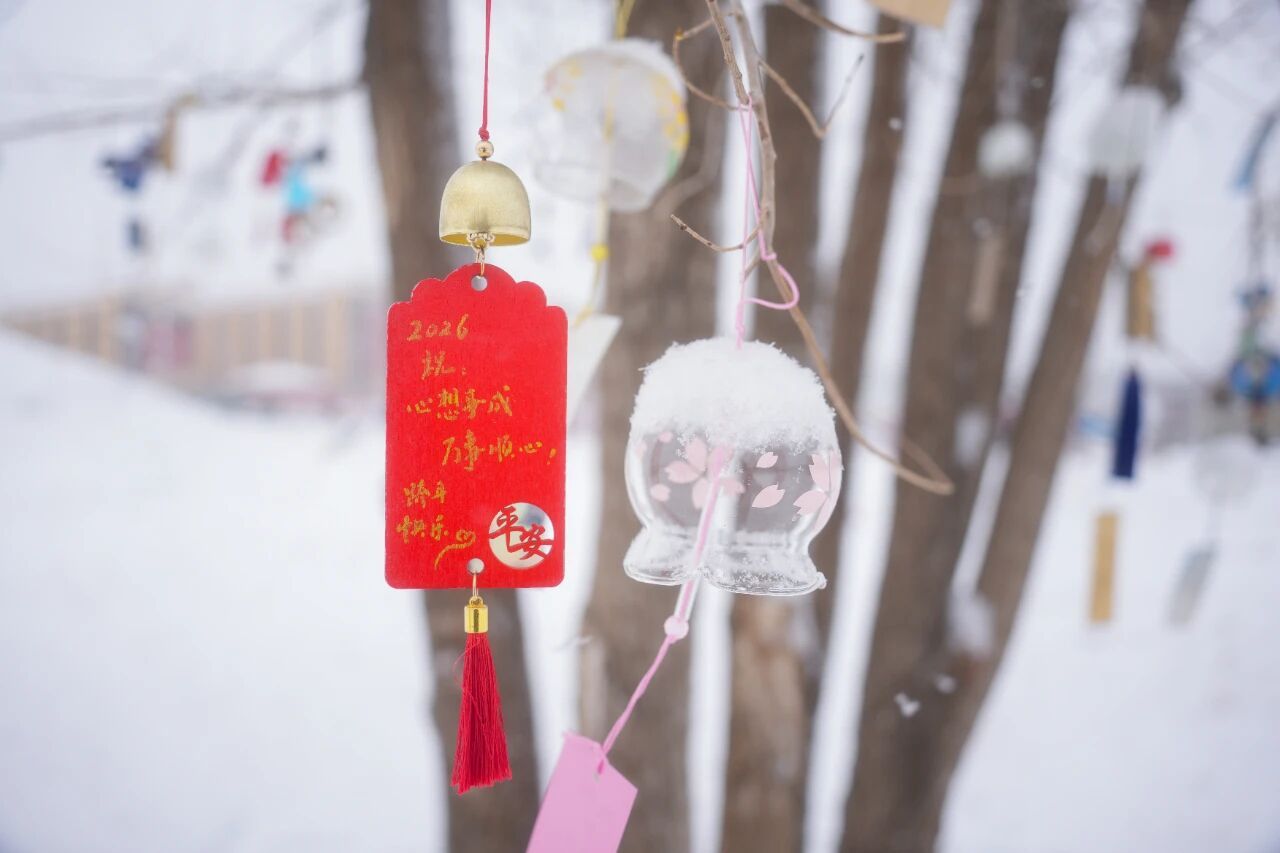 雪落校园